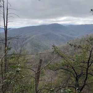 Meet your Posher, Jake